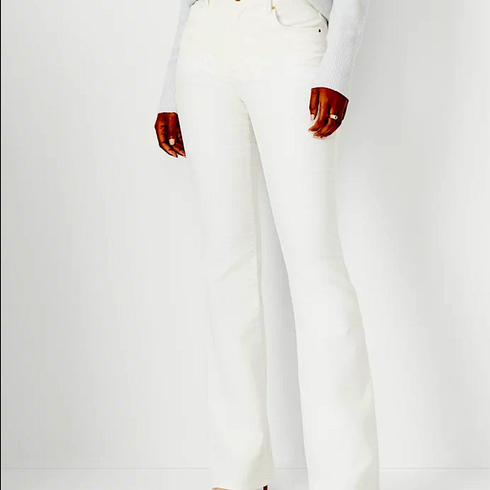 NWT Ann Taylor Velvet Bootcut Pants.